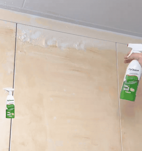 Cabinet cleaning demonstration